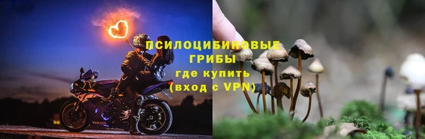 синтетический гашиш Корсаков