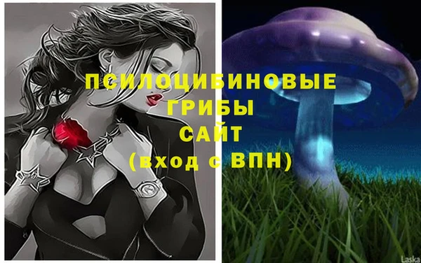 а пвп мука Кодинск