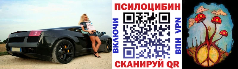 Псилоцибиновые грибы прущие грибы Искитим